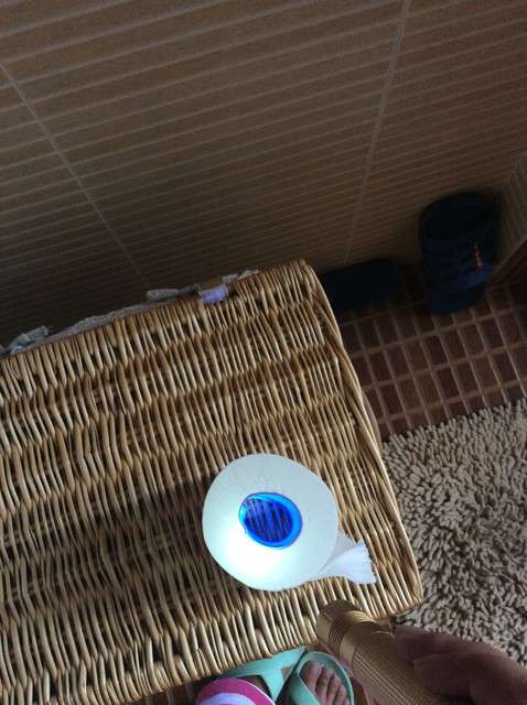  寶媽買了紫光手電，衣服上好多熒光劑，看的心慌害怕