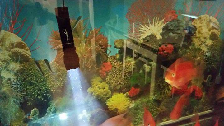 手電PT10，為戰(zhàn)術(shù)而生