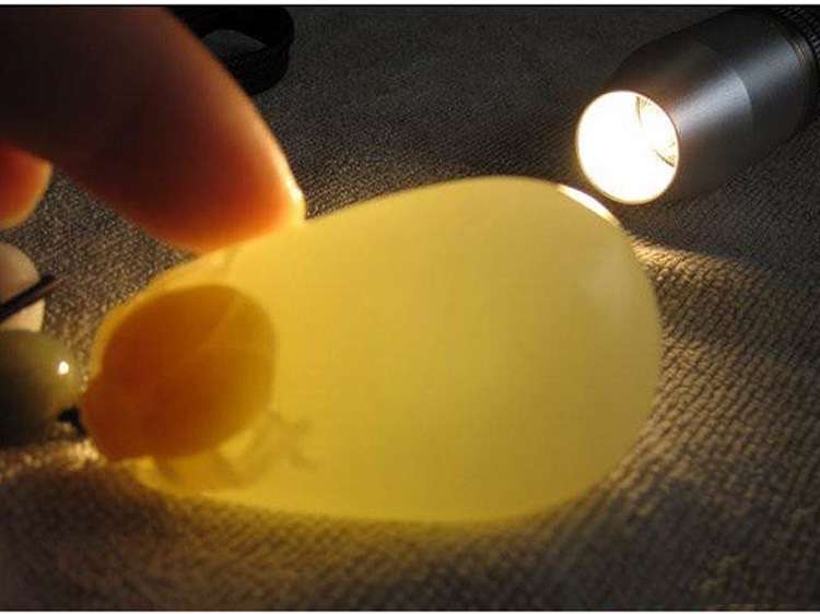 玉石用照玉手電筒白光和放大鏡看的是什么？